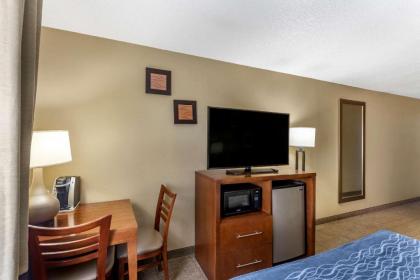 Comfort Inn Gurnee near Six Flags - image 11