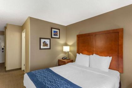 Comfort Inn Gurnee near Six Flags - image 9