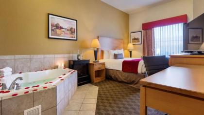 Best Western Plus Guymon Hotel & Suites - image 10