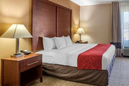 Comfort Suites Hagerstown - image 11