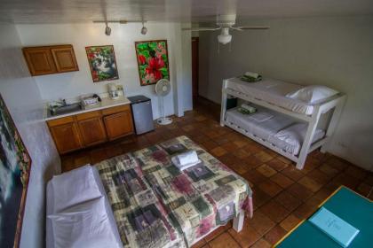 Backpackers Vacation Inn and Plantation Village - image 4