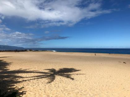 Beach Side Studio - image 8