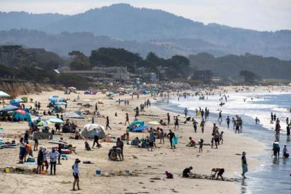 The Oceanfront Hotel on MiramarBeach HMB - image 10