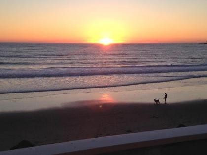 The Oceanfront Hotel on MiramarBeach HMB - image 13