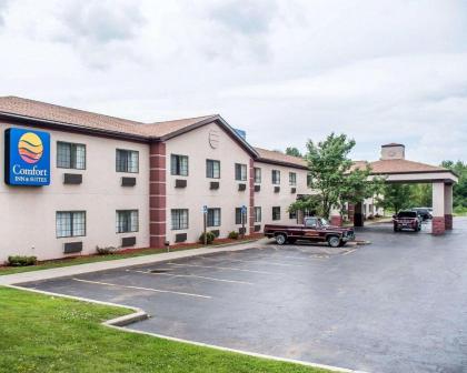 Comfort Inn  Suites Hamburg New York