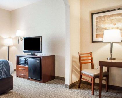 Comfort Inn & Suites Hamburg - image 2