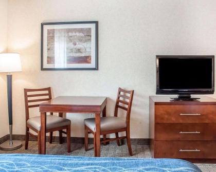 Comfort Inn & Suites Hamburg - image 4