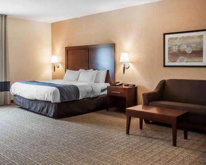 Comfort Inn & Suites Hamburg - image 5