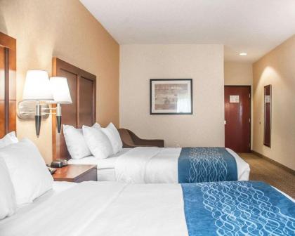 Comfort Inn & Suites Hamburg - image 7