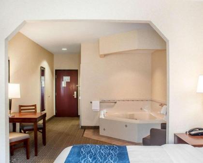 Comfort Inn & Suites Hamburg - image 8