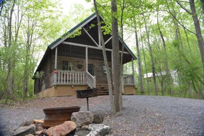 Appalachian Camping Resort Log Home 6 - image 5