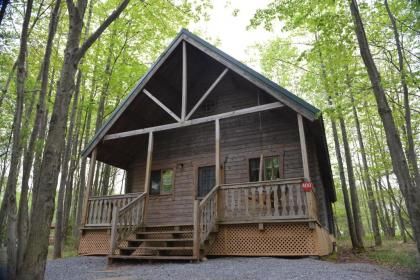 Appalachian Camping Resort Log Home 6 - image 7