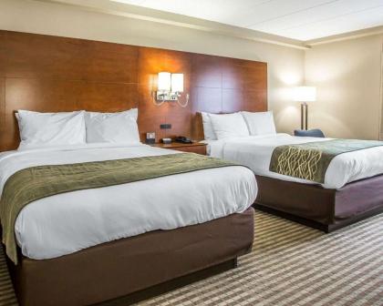 Comfort Inn- Hammond - image 2