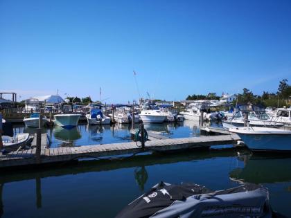 Bay Watch Hotel and Marina - image 3