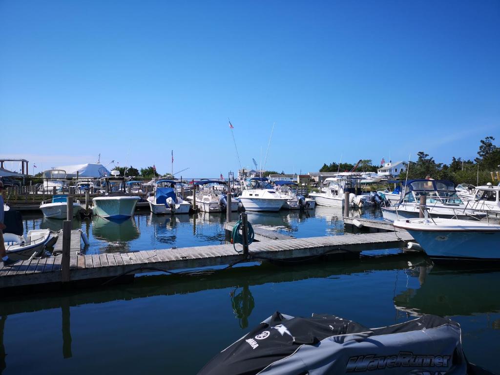 Bay Watch Hotel and Marina - image 3