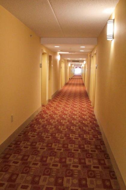 Hampton Inn Hampton-Newport News - image 15