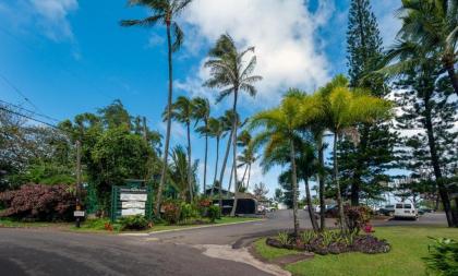 Beachfront steps to the sand VIEWS!!! Secure hi-speed internet - image 3