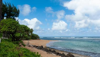 Hanalei Colony Resort E1: intimate beachfront resort in Haena steps to sand! - image 14