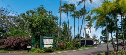 Hanalei Colony Resort I1-steps to sand oceanfront views wild & beautiful! - image 11