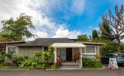 Hanalei Colony Resort I1-steps to sand oceanfront views wild & beautiful! - image 12