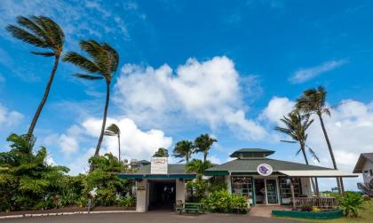 Hanalei Colony Resort I1-steps to sand oceanfront views wild & beautiful! - image 15