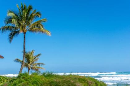 Hanalei Colony Resort I1-steps to sand oceanfront views wild & beautiful! - image 9