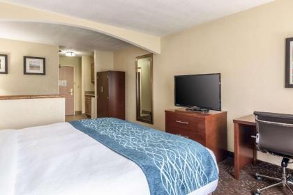 Comfort Inn & Suites - Hannibal - image 4