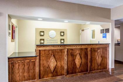 Comfort Inn & Suites - Hannibal - image 5