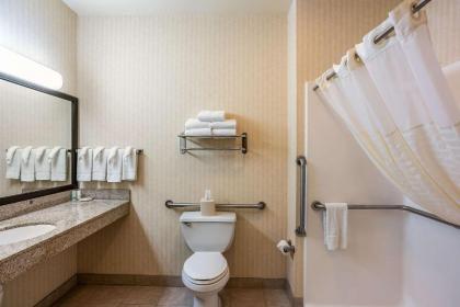 Quality Inn & Suites Hannibal - image 10