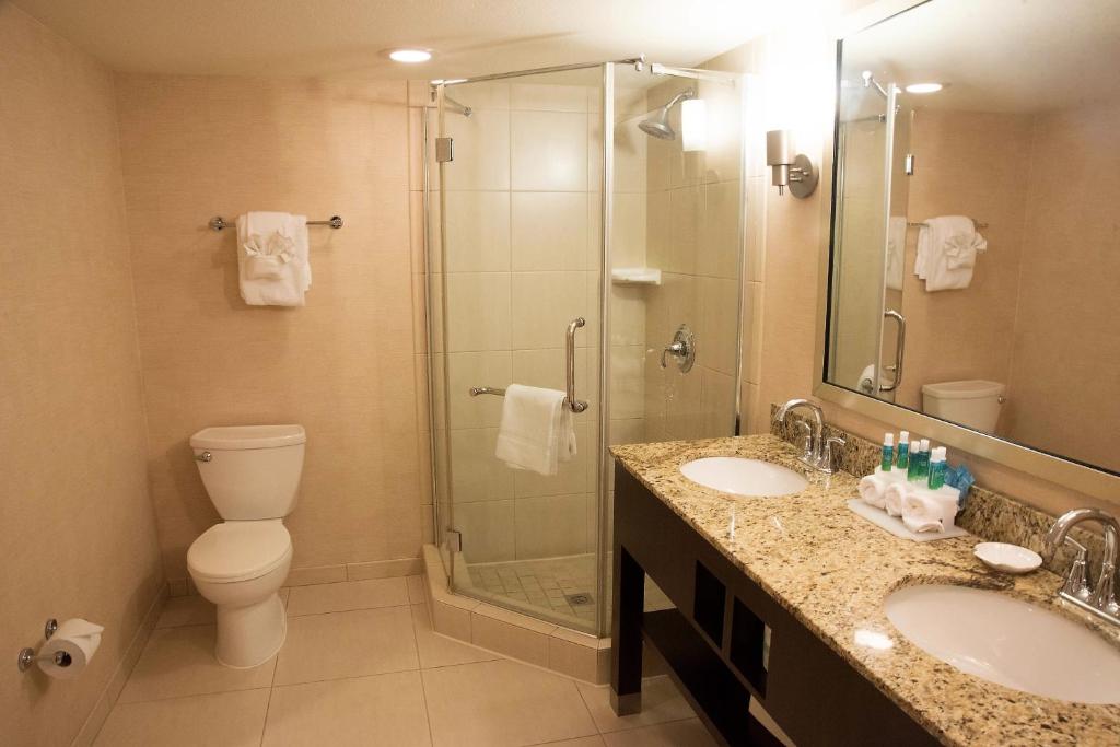 Holiday Inn Express Baltimore BWI Airport West an IHG Hotel - image 3