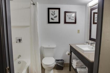 Country Inn & Suites by Radisson Harlingen TX - image 3