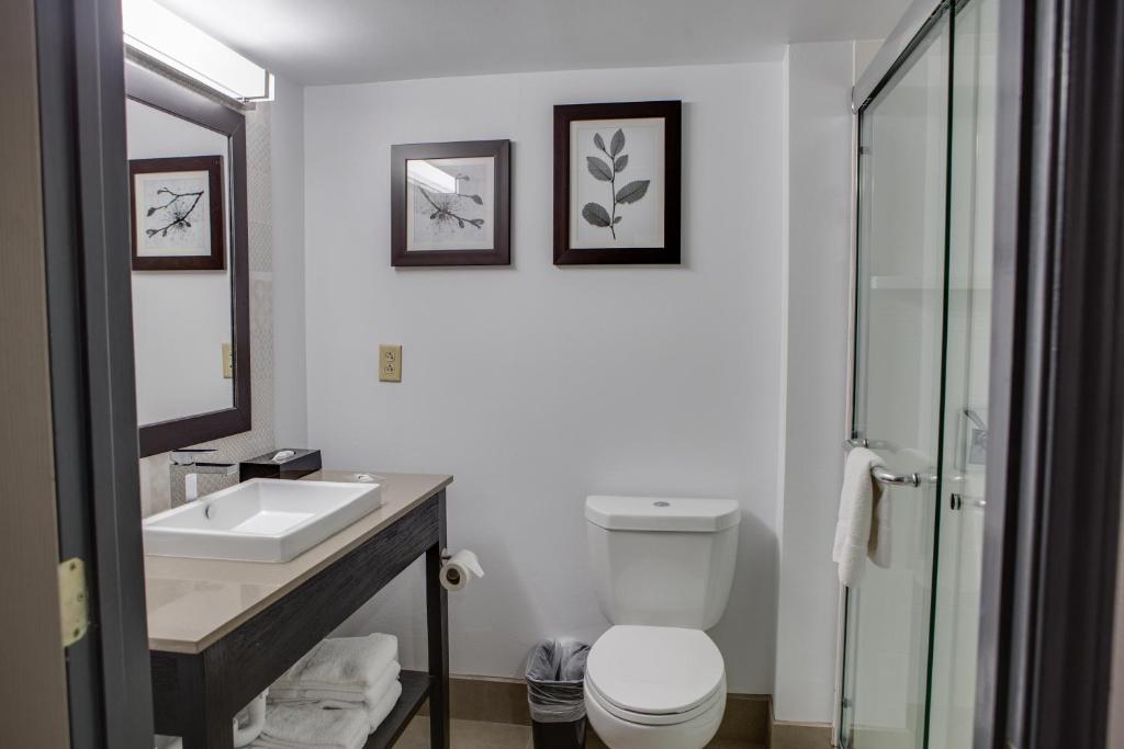 Country Inn & Suites by Radisson Harlingen TX - image 5