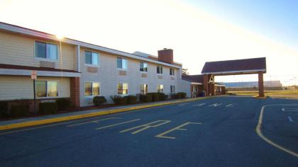 Quality Inn & Suites Harrington - image 3