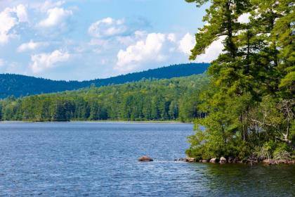 Brown Moose Acres - image 9