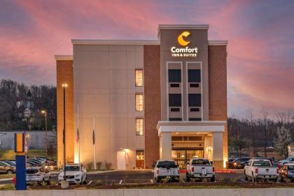 Comfort Inn & Suites - image 3