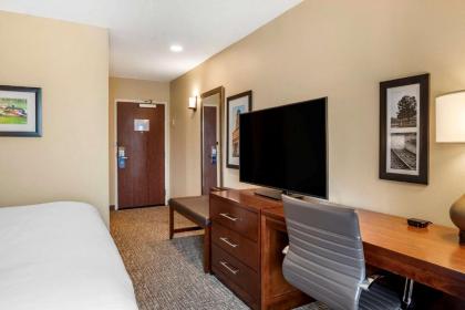 Comfort Inn & Suites - image 5