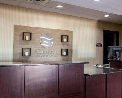 Comfort Inn & Suites Harrisonville - image 6