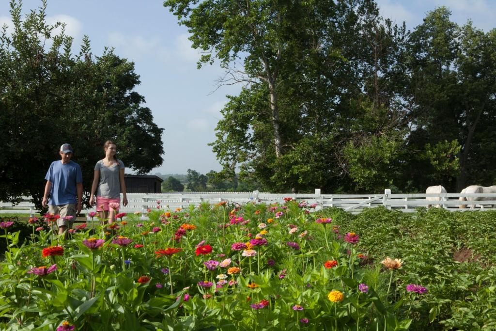 Shaker Village of Pleasant Hill - image 5