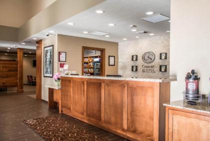 Comfort Suites Hartville-North Canton - image 12