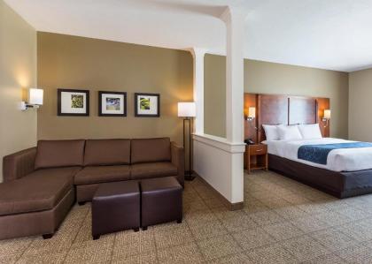 Comfort Suites Hartville-North Canton - image 2