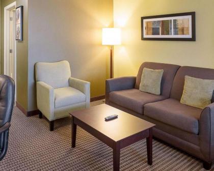 Comfort Suites Harvey - New Orleans West Bank - image 11