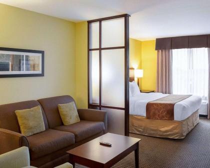 Comfort Suites Harvey - New Orleans West Bank - image 14