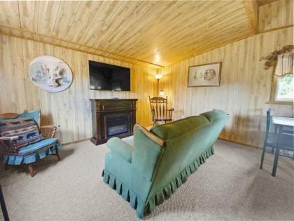 Nice and Knotty Cabin - image 13