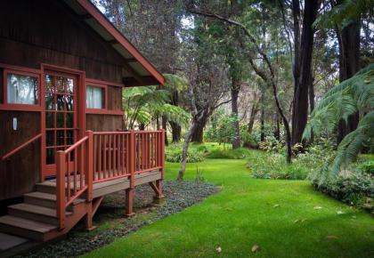 Crater Rim Cabin - image 10