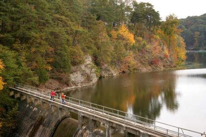 Pennyrile Forest State Resort Park - image 2