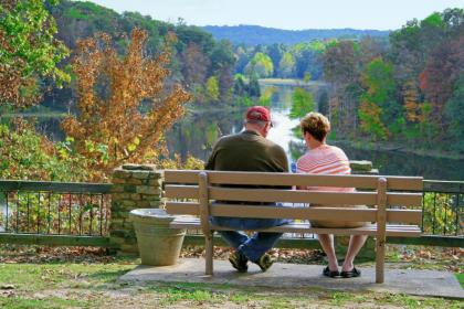 Pennyrile Forest State Resort Park - image 4