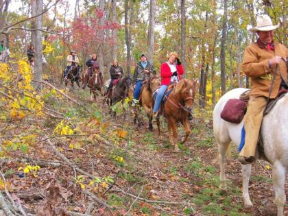 Pennyrile Forest State Resort Park - image 6