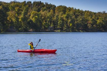 Pennyrile Forest State Resort Park - image 7