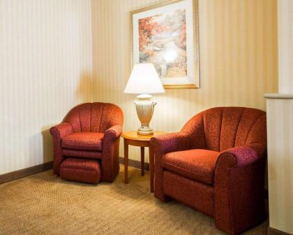 Comfort Inn & Suites - image 2