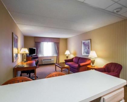 Comfort Inn & Suites - image 3